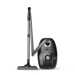 Schlittenstaubsauger mit Beutel Rowenta Green Force Effitech RO6189 900 W