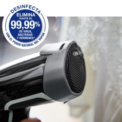 Plancha de Vapor Vertical Rowenta Access Steam Force DR8270D1 2000W