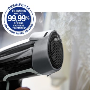 Plancha de Vapor Vertical Rowenta Access Steam Force DR8270D1 2000W
