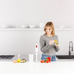 Taurus Robot 750 Stabmixer