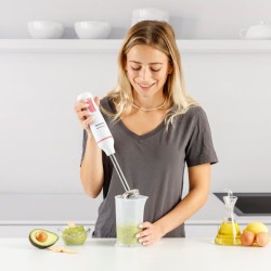 Taurus 916443000 Stabmixer