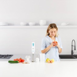 Taurus 916444000 Stabmixer