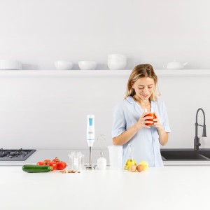 Taurus 916444000 Stabmixer