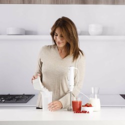 Taurus 916396000 Stabmixer