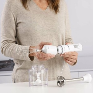 Taurus 916396000 Stabmixer