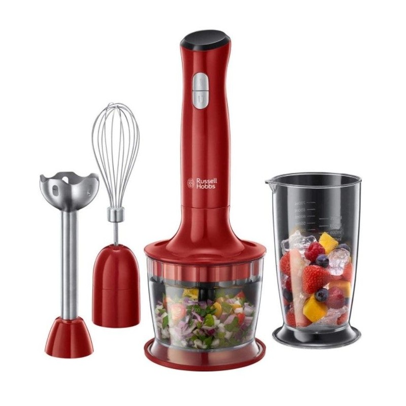 Russell Hobbs 2470056 Stabmixer