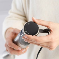 Taurus HBA1700X Stabmixer