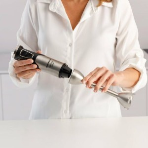 Taurus HBA1700X Stabmixer