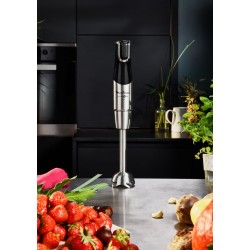 Moulinex DD95HD10 Stabmixer 1200 W