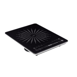 Induccion portatil Jata VIN145