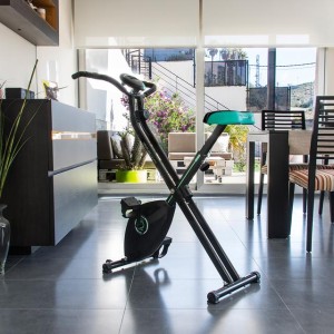 Indoor Faltbares Heimtrainer mit Schwungrad Cecotec X-Bike