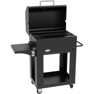 Barbacoa de carbón IMOR MIRANDA