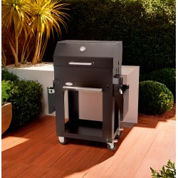 Barbacoa de carbón Laguna con carro