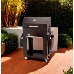 Barbacoa de carbón Laguna con carro