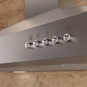 Pyramidenförmige Abzugshaube Cecotec Bolero Flux PM 606500 Inox A