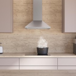 Pyramidenförmige Abzugshaube Cecotec Bolero Flux PM 604300 Inox C