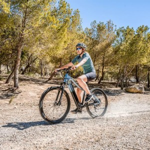 Elektrisches Fahrrad Cecotec Mountain Avanti Berg mit 120 km von Autonomie