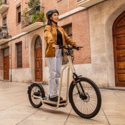 Bicinete Eléctrico Cecotec Urban 1000 W con Autonomía de 50 Km