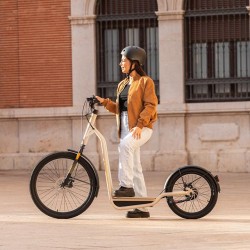 Bicinete Eléctrico Cecotec Urban 1000 W con Autonomía de 50 Km