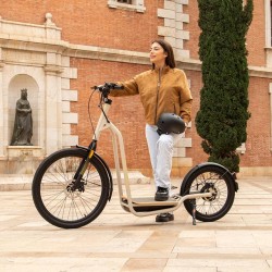 Bicinete Eléctrico Cecotec Urban 1000 W con Autonomía de 50 Km