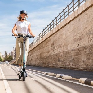 Patinete Eléctrico Cecotec Bongo Y45 Connected 750 W con Autonomía de 45 Km y APP