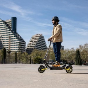 Patinete Eléctrico Cecotec Bongo GS50 XXL Connected 800 W con Autonomía de 50 Km y APP