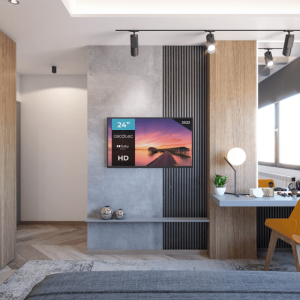Fernseher Cecotec 24" LED mit HDMI/USB Schwarz