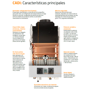 Calentador de Gas Atmosférico Cointra CADI 11 L para Gas Natural con Panel Digital
