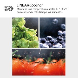 Frigorífico Combi LG GBV21NCDPY Inox Antihuellas Capacidad de 344 Litros