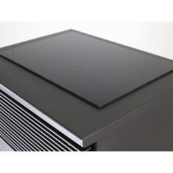 Estufa de Leña Ventilada TOKIO VENTILADA VISIÓN 10,6 kW