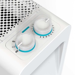 Heizkörper aus Glimmer Orbegozo RMB 1010 1000W