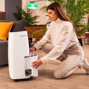 Luftentfeuchter Cecotec BigDry 10000 Expert Connected Weiß 30L mit WiFi