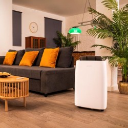 Luftentfeuchter Cecotec BigDry 10000 Expert Connected Weiß 30L mit WiFi