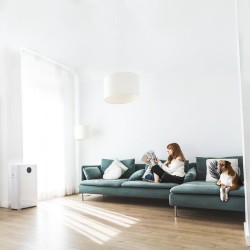 Luftreiniger Cecotec TotalPure 5000 Connected mit WiFi