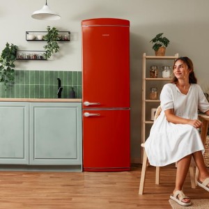 Frigorífico Combi Cecotec Bolero CoolMarket Combi Origin 294+ Red E Capacidad de 294 Litros