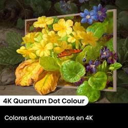 Fernseher Hisense 55S7NQ QLED Hi-Matte Display 55" 4K Ultra HD mit Smart-TV und WLAN
