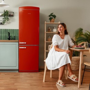 Kühlschrank Combi Cecotec Bolero CoolMarket Combi Origin 231 NF Red E Kapazität von 231 Liter